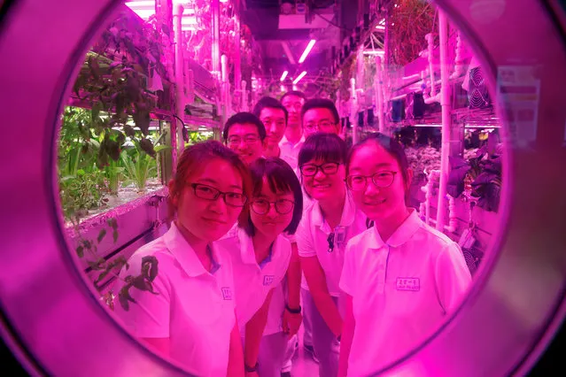 Volunteers smile from inside a simulated space cabin in which they temporarily live as a part of the scientistic Lunar Palace 365 Project, at Beihang University in Beijing, China July 9, 2017. A group of four volunteers entered the Lunar Palace, a space of 160 square meters, China's first bioregenerative life-support base where they will live for next 200 days replacing another group who spent previous 60 days inside the simulated cabin testing how a life-support system works in a moon-like environment. (Photo by Damir Sagolj/Reuters)