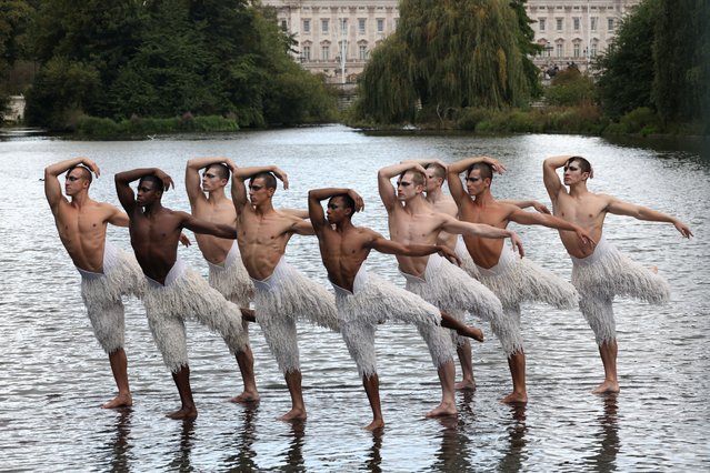 The cast of Matthew Bourne's Swan Lake pose for a photo in costume, on the lake in St James's Park, in London, Britain on September 11, 2024. (Photo by Mina Kim/Reuters)