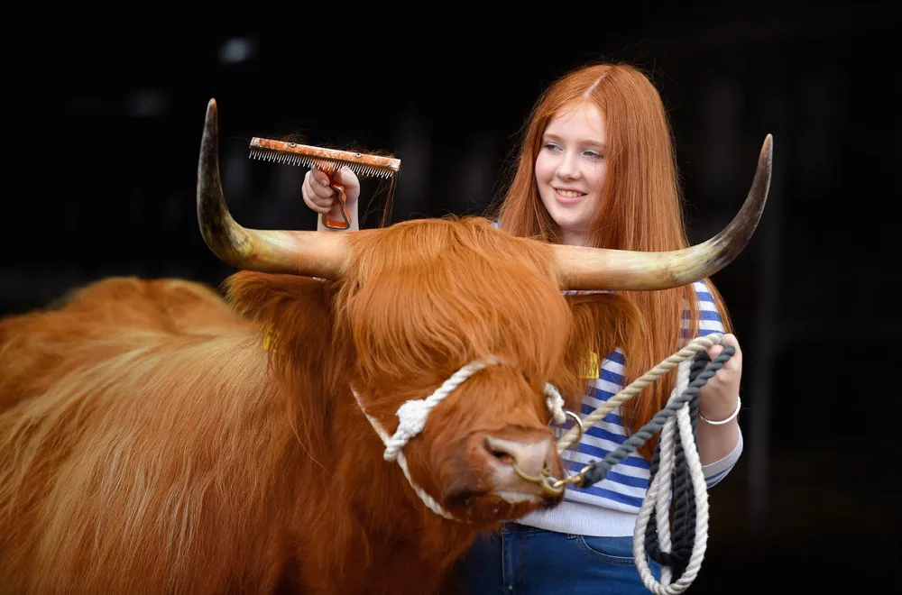 The Day in Photos – June 23, 2016