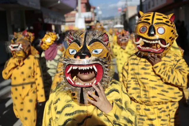 People fancy dressed as tigers take part in a traditional parade to ask for rain and plenty crops, in Chilapa, Guerrero State, Mexico, on August 15, 2015. (Photo by Pedro Pardo/AFP Photo)