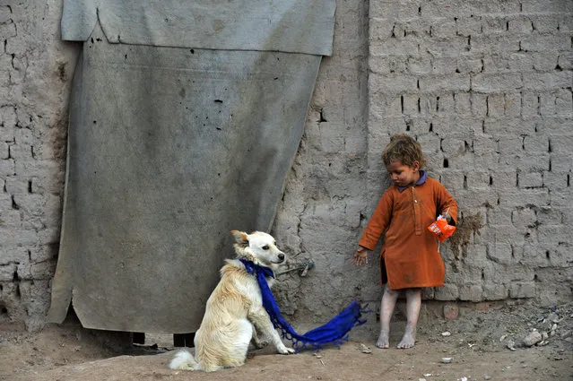 In this photograph taken on February 3, 2020, a child stands next to a dog outside his temporary house on the outskirts of Jalalabad. (Photo by Noorullah Shirzada/AFP Photo)