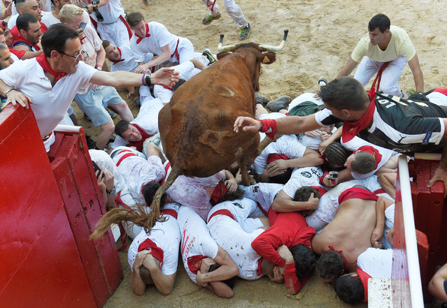 A wild cow jumps over revelers in the bullring after the first running of the bulls at the San Fermin festival in Pamplona, northern Spain, July 7, 2016. (Photo by Eloy Alonso/Reuters)