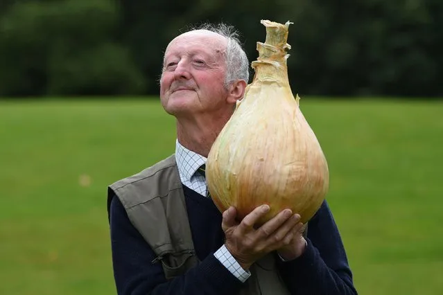Peter Glazebrook poses for a photograph with his 6.6 kg onion which won its class in the giant vegetable competition on the first day of the Harrogate Autumn Flower Show held at the Great Yorkshire Showground, in Harrogate, northern England, on September 15, 2017. (Photo by Oli Scarff/AFP Photo)