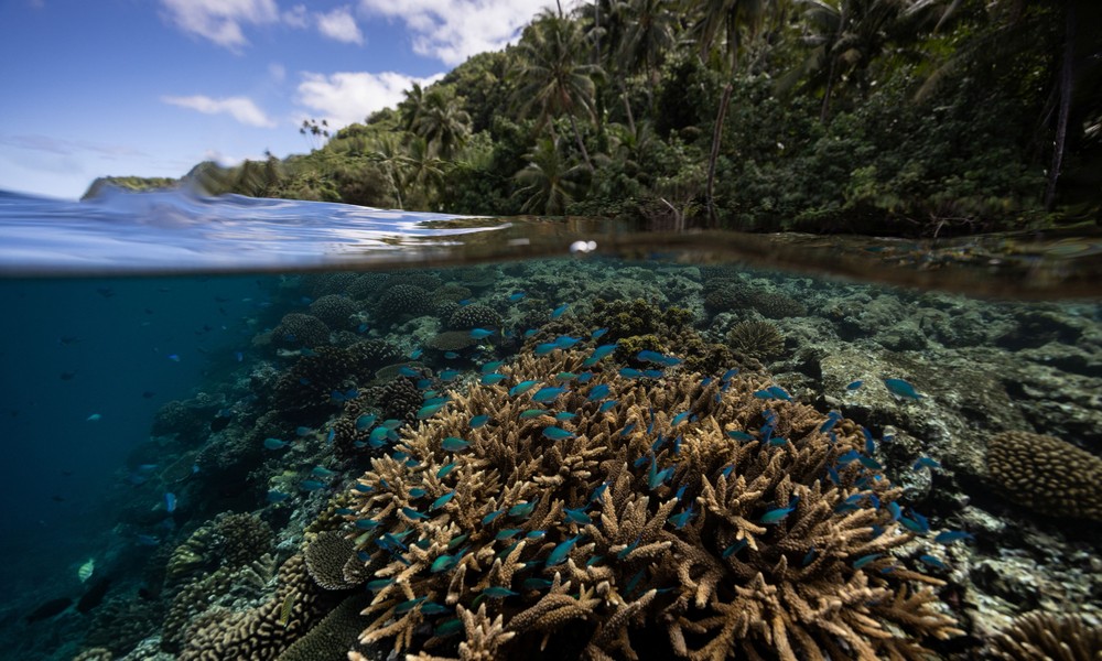 Some Photos: Waterworld