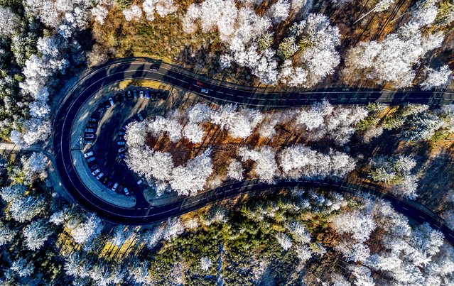 Frozen trees stand near a curve in the Taunus region near Frankfurt, Germany, Tuesday, December 31, 2024. (Photo by Michael Probst/AP Photo)