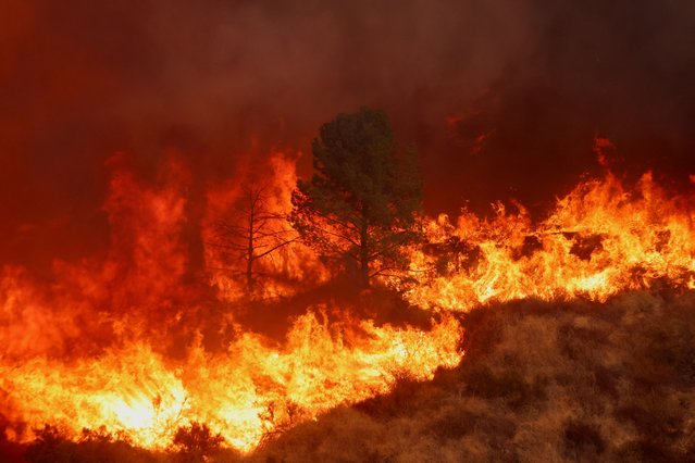 Smoke and flames rise while firefighters battle the Hughes Fire near Castaic Lake, north of Santa Clarita, California, on January 22, 2025. (Photo by David Swanson/Reuters)
