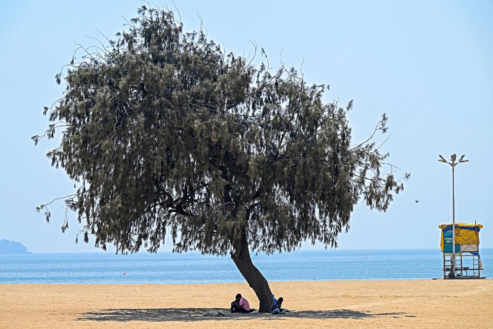 A Look at Life in India