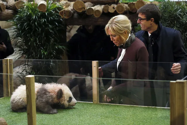 French First lady Brigitte Macron attends a naming ceremony of the panda born at the Beauval Zoo, with Rodolphe Delord, director of the zoo, in Saint-Aignan-sur-Cher, France, Monday, December 4, 2017. The 4-month-old cub is called Yuan Meng, which means “the realization of a wish” or “accomplishment of a dream”. (Photo by Thibault Camus/AP Photo)