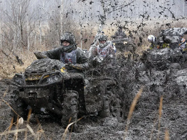 Riders compete during the “Kings of the Off-road” quad bike amateur regional race in a Siberian boggy district near the village of Kozhany, southwest of Krasnoyarsk, October 11, 2014. The race day, which consisted of four extreme tournaments on All Terrain Vehicles (ATV) and Utility Terrain Vehicles (UTV), marked the end of their summer sports season, according to organizers. (Photo by Ilya Naymushin/Reuters)