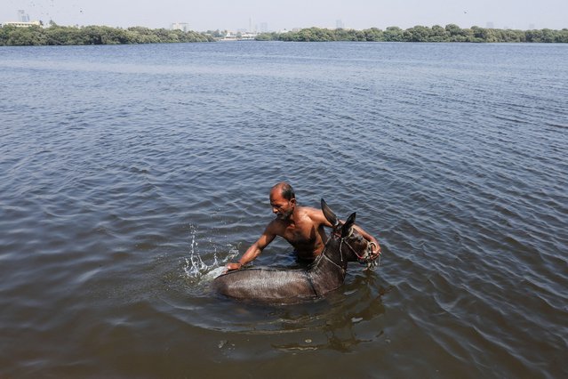 Muhammad Hanif, 50, a labourer bathes his donkey to cool off during a hot summer day in Karachi, Pakistan on April 14, 2025. (Photo by Akhtar Soomro/Reuters)