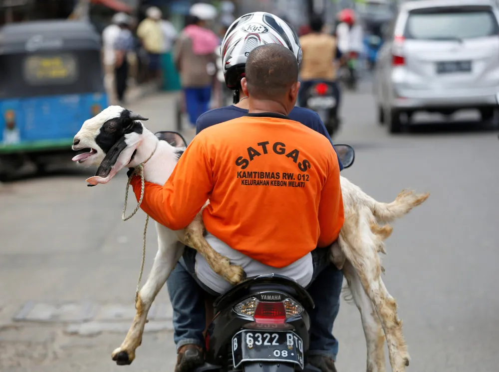 Muslims this Week, Part 1/2