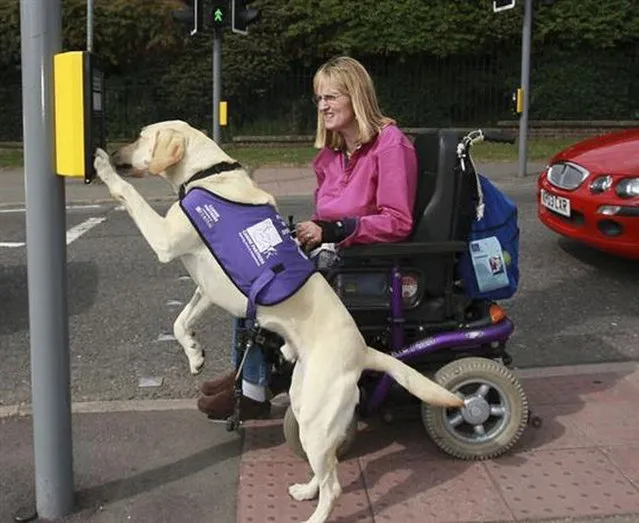 Kate & Canine Partner "Byron"