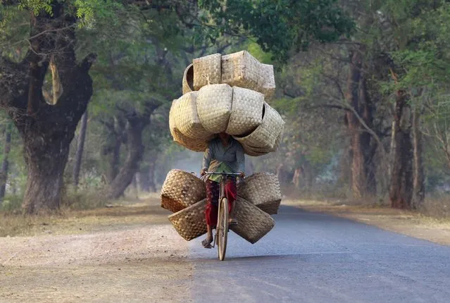 A woman cycles as she carries baskets to sell in a market near Lapdaung mountain in Sarlingyi township, March 13, 2013. (Photo by Soe Zeya Tun/Reuters)