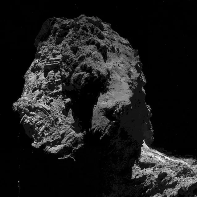 The Rosetta spacecraft captured this image of Comet 67P on September 20, 2016 when the Rosetta was 8.5 miles from the center of the comet. The European Space Agency craft is scheduled to crash-land into the comet on September 30, ending its 10-year, four-billion-mile journey. Scientists decided to crash-land the probe on the comet because its solar panels won't be able to collect enough energy to power Rosetta as it hurtles away from the Sun along 67P's elliptical orbit. (Photo by ESA/Rosetta/MPS for OSIRIS Team MPS)