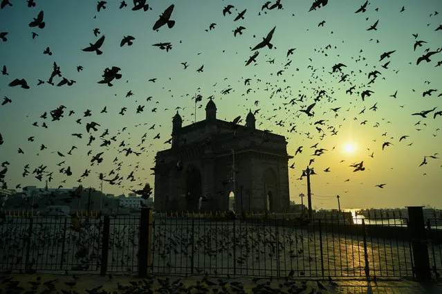 Pigeons fly over the Gateway of India at sunrise in Mumbai on December 1, 2020. (Photo by Punit Paranjpe/AFP Photo)