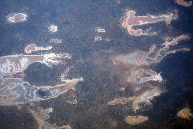 Salt pans and dams are scattered across drought effected farmland in Western Australia, November 12, 2015. (Photo by David Gray/Reuters)