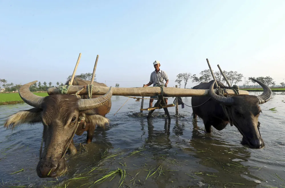 Daily Life in Myanmar