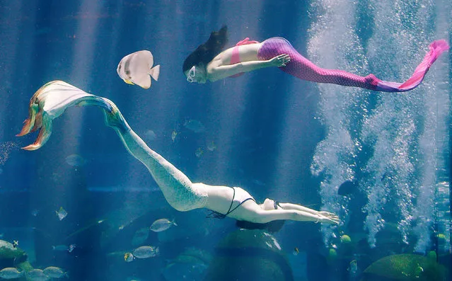 Performers dressed as mermaids dive into the 10-metre-deep Ambassador Lagoon inside Atlantis Sanya hotel in Sanya, Hainan province, China April 28, 2018. (Photo by Bobby Yip/Reuters)