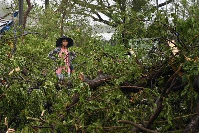 A woman stands amid fallen trees in Kyauktaw in Myanmar's Rakhine state on May 14, 2023 after Cyclone Mocha made landfall. (Photo by Sai Aung Main/AFP Photo)