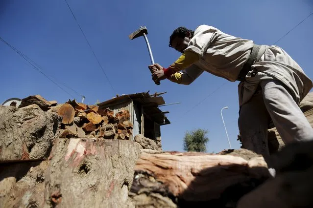 A worker chops firewood at a market amid ongoing fuel and cooking gas shortages in Yemen's capital Sanaa, December 2, 2015. (Photo by Khaled Abdullah/Reuters)