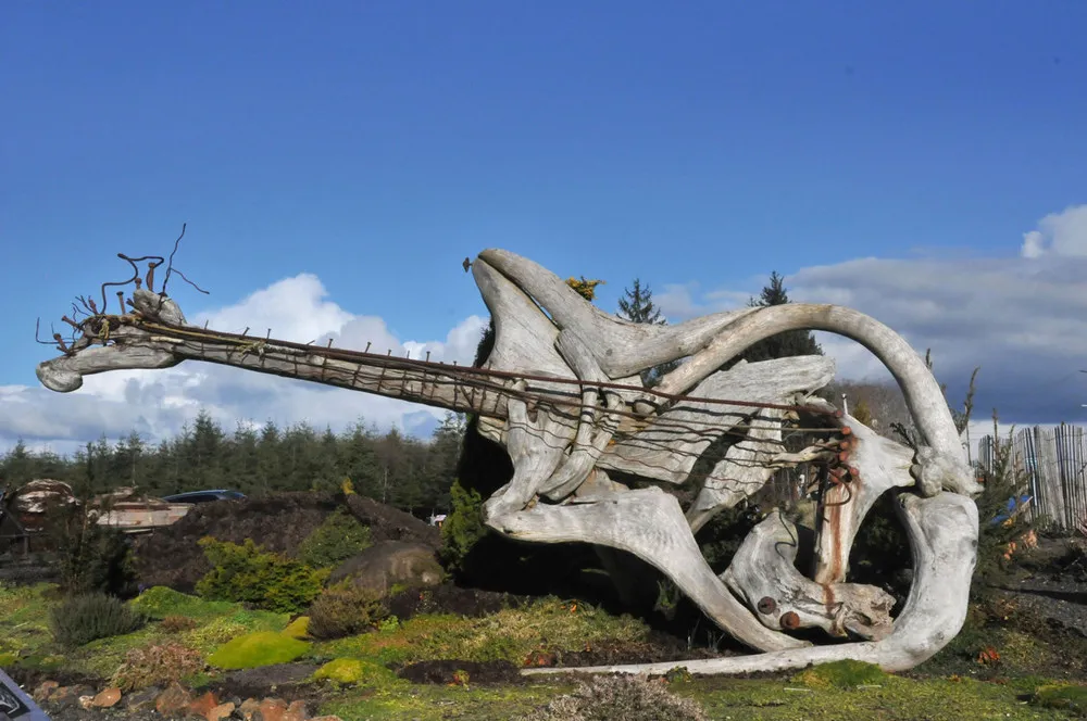 Amazing Driftwood Sculpture