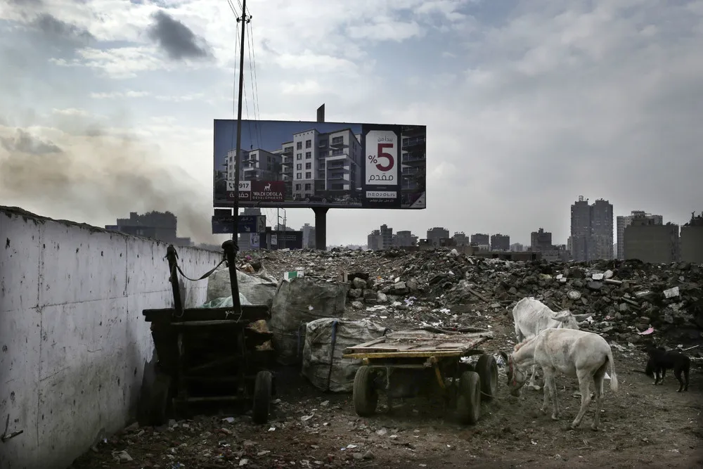 A Look at Life in Egypt