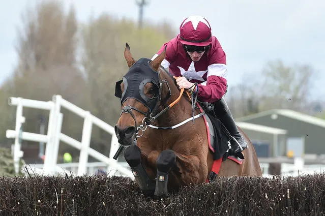 Tiger Roll ridden by J.W. Kennedy runs in the Betway Bowl Chase on the first day of the Grand National Festival at Aintree Racecourse in Liverpool, north west England on April 8, 2021. (Photo by Peter Powell/AFP Photo)