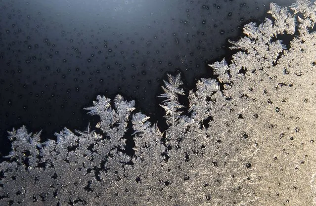 Ice crystals are seen on a window in the New York City suburb of Nyack, New York February 13, 2015. (Photo by Mike Segar/Reuters)