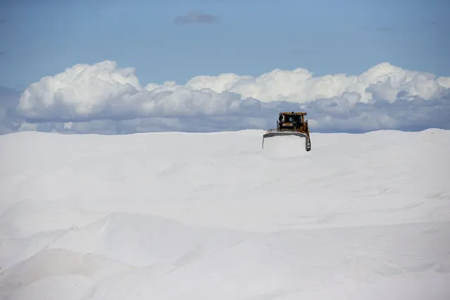 In this March 3, 2015 photo, a bulldozer moves salt for loading onto barges, at the Salt Export Co. (ESSA), port installations, in Guerrero Negro, in Mexico's Baja California peninsula. The largest salt-making facility on the planet is located here. The salt is extracted from ocean water by evaporation, taking advantage of the region's low yearly rainfall, large areas of flat lands and high solar radiation. (Photo by Dario Lopez-Mills/AP Photo)