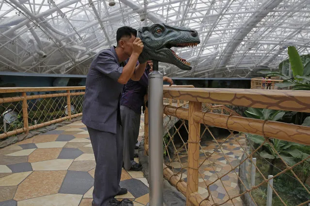 In this Saturday, September 15, 2018, file photo, a North Korean man looks through a device to study the vision of a dinosaur, at the Central Zoo in Pyongyang, North Korea. (Photo by Kin Cheung/AP Photo)
