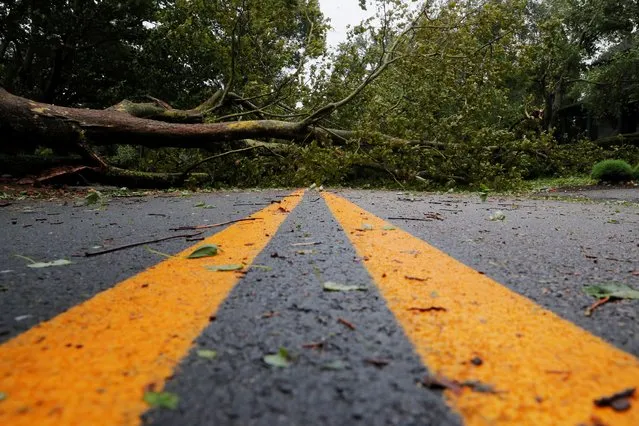A fallen tree blocks a street as Tropical Storm Henri makes landfall in Newport, Rhode Island, U.S., August 22, 2021. (Photo by Brian Snyder/Reuters)