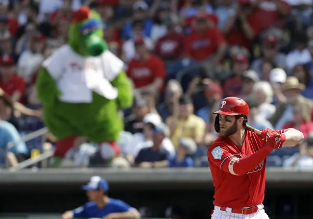 Philadelphia Phillies' Bryce Harper bats against the Toronto Blue Jays during the third inning of a spring training baseball game Saturday, March 9, 2019, in Clearwater, Fla. ({hoto by Chris O'Meara/AP Photo)