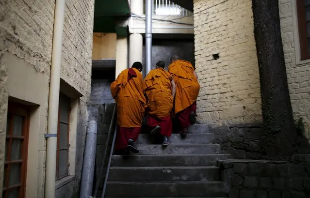 Tibetan monks arrive at Tsuglagkhang temple for prayer in Dharamsala, India, March 19, 2016. Tens of thousands of exiled Tibetans across India and overseas will vote on Sunday to elect a political leader, hoping the democratic exercise will help sustain their struggle to secure complete autonomy for Chinese-ruled Tibet. (Photo by Adnan Abidi/Reuters)