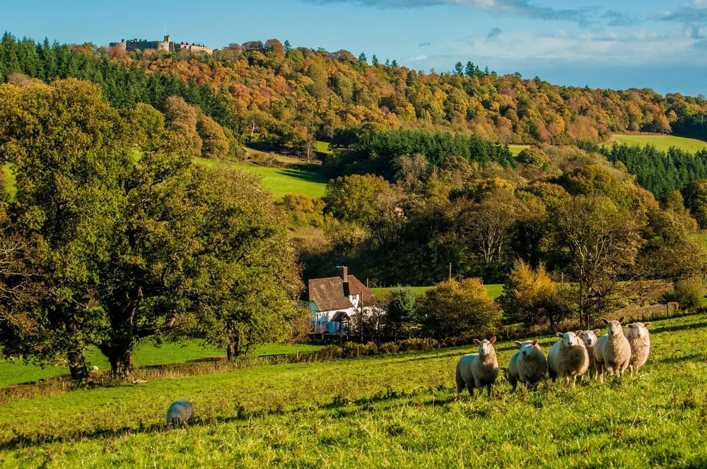 ESRC Photography Competition Winners