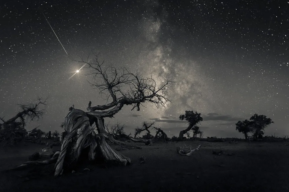 UK Astronomy Photographer of the Year 2019