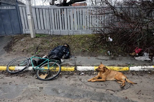A dog lays next to the body of a civilian, who according to residents was killed by Russian soldiers, in Bucha, in Kyiv, region, Ukraine on April 3, 2022. (Photo by Reuters/Stringer)