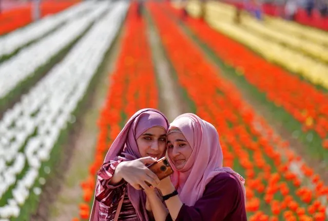 Girls take a selfie inside Kashmir's tulip garden on the foothills of the Zabarwan mountain range in Srinagar, April 1, 2022. (Photo by Danish Ismail/Reuters)
