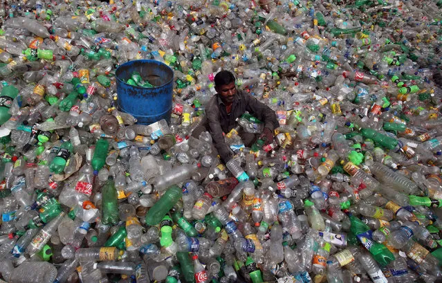 A man sorts bottles at a plastic junkyard on World Environment Day, in Chandigarh, India, June 5, 2017. (Photo by Ajay Verma/Reuters)