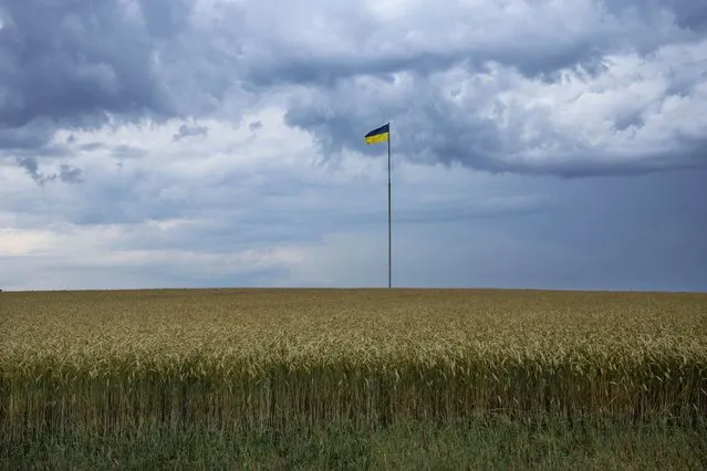 The Ukrainian flag flys on a pole in the middle of a land of wheat, in Kyiv, Ukraine, Wednesday, June 29, 2022. (Photo by Nariman El-Mofty/AP Photo)
