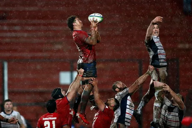 Chile's Martin Sigren grabs the ball during their Rugby World Cup 2023 Americas 2 play-off first leg match against the US, at the Santa Laura Universidad SEK stadium, in Santiago, on July 9, 2022. (Photo by Javier Torres/AFP Photo)