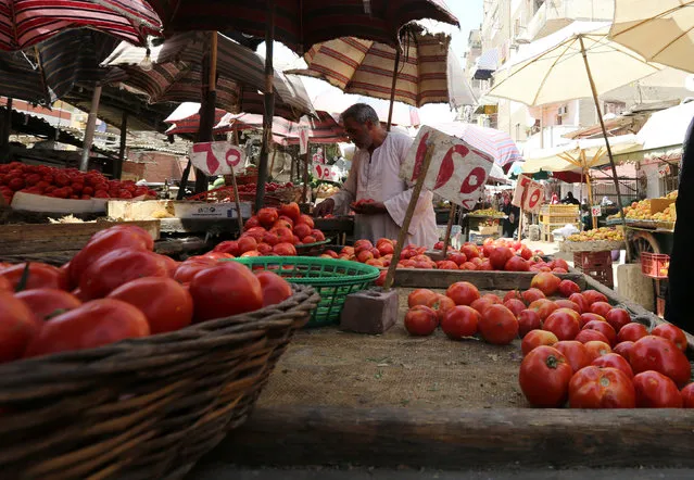 An Egyptian vegetable seller is seen at a market in Cairo, Egypt June 15, 2016. (Photo by Mohamed Abd El Ghany/Reuters)