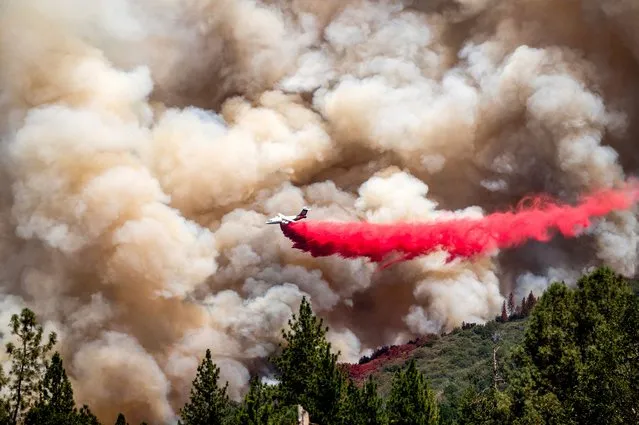 An air tanker drops retardant while trying to stop the Oak Fire from progressing in Mariposa County, Calif., on Sunday, July 24, 2022. (Photo by Noah Berger/AP Photo)