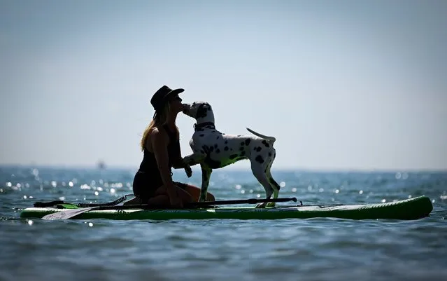 Marina White and her dog Coco share a kiss during warm up before the racing, on July 23, 2022 in Bournemouth, England. The UK Dog Surfing Championships is being held for its 4th year, taking place at Branksome Dene Chine Beach with dog surfing heats and family entertainment throughout the day. (Photo by Finnbarr Webster/Getty Images)