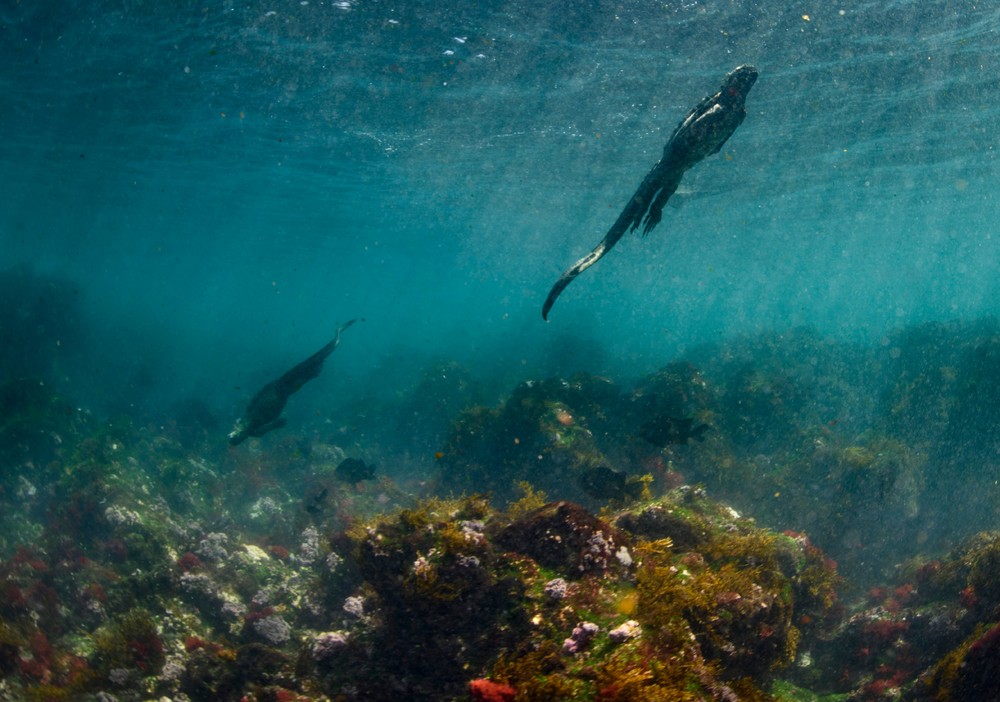 Some Photos: Waterworld