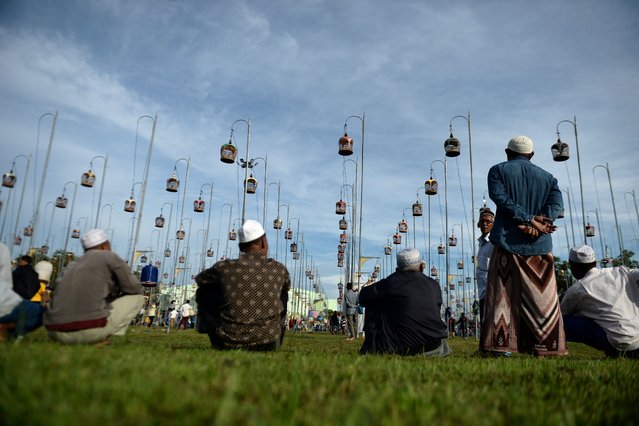 A group of men observe doves in cages during a bird-singing contest in Thailand's southern province of Narathiwat on September 18, 2017. (Photo by Madaree Tohlala/AFP Photo)