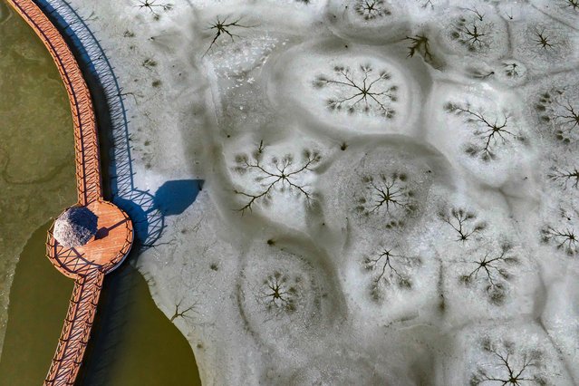This photo taken on December 29, 2024 shows an aerial view of intricate patterns formed by thin layers of ice on the surface of Yan Lake at Yellow River Delta Wetland in Dongying, eastern China's Shandong province. (Photo by AFP Photo/China Stringer Network)