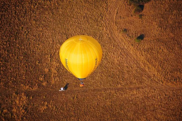 A balloon flies over a field which has turned brown and dried out in the prolonged spell of dry weather during the Bristol International Balloon Fiesta 2022 on Friday, August 12, 2022. (Photo by Ben Birchall/PA Images via Getty Images)
