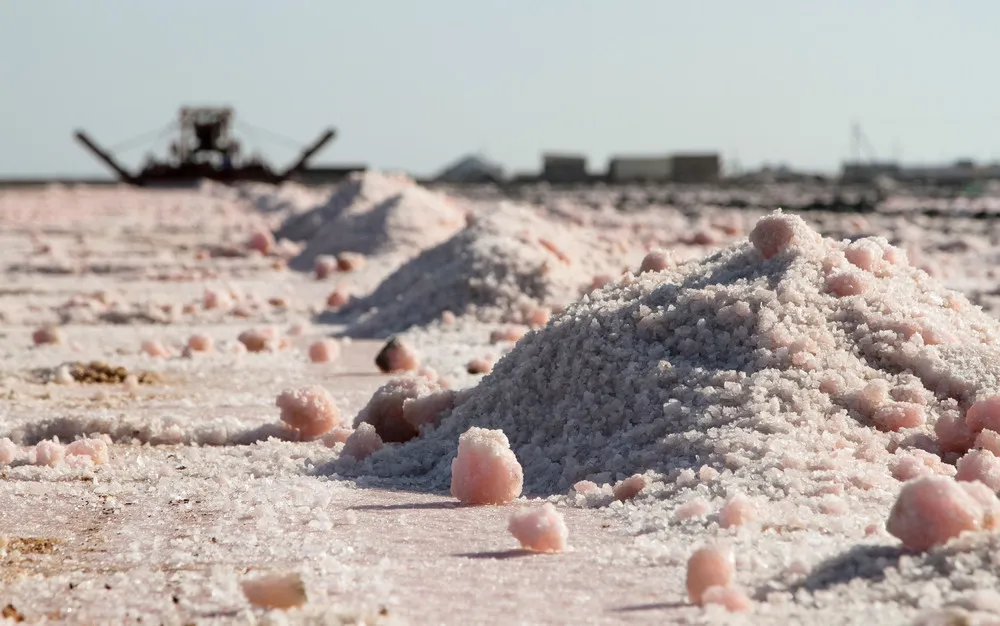 Harvesting Pink Salt in Crimea
