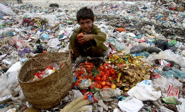 A Pakistani boy collects items from garbage dumps on a roadside in Karachi, Pakistan, 31 May 2016. According to the Pakistan's Human Development Index (HDI), over 60 percent of Pakistan's population live under one USD a day. (Photo by Shahzaib Akber/EPA)