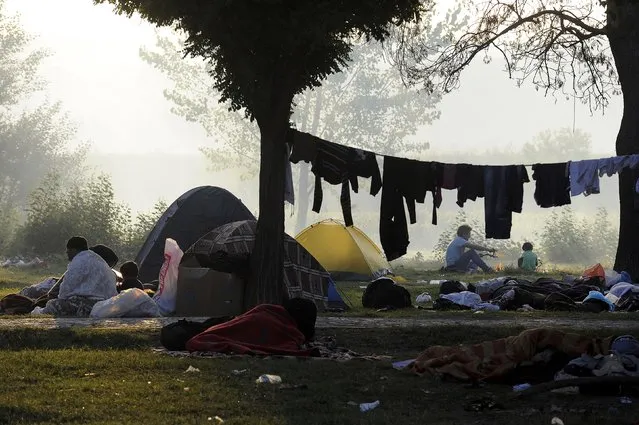 Migrants sleep at the surrounding area of the Sarayici oil wrestling arena in Edirne, Turkey, September 21, 2015. (Photo by Alexandros Avramidis/Reuters)